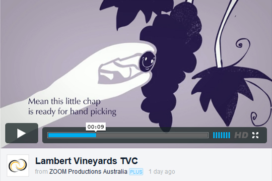 Lambert Vineyards, animation, animate, TVC, commercial, advertising, design, creative agency, Sydney, Zoom Productions, vimeo